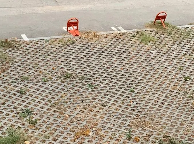 Dubrovnik Варна